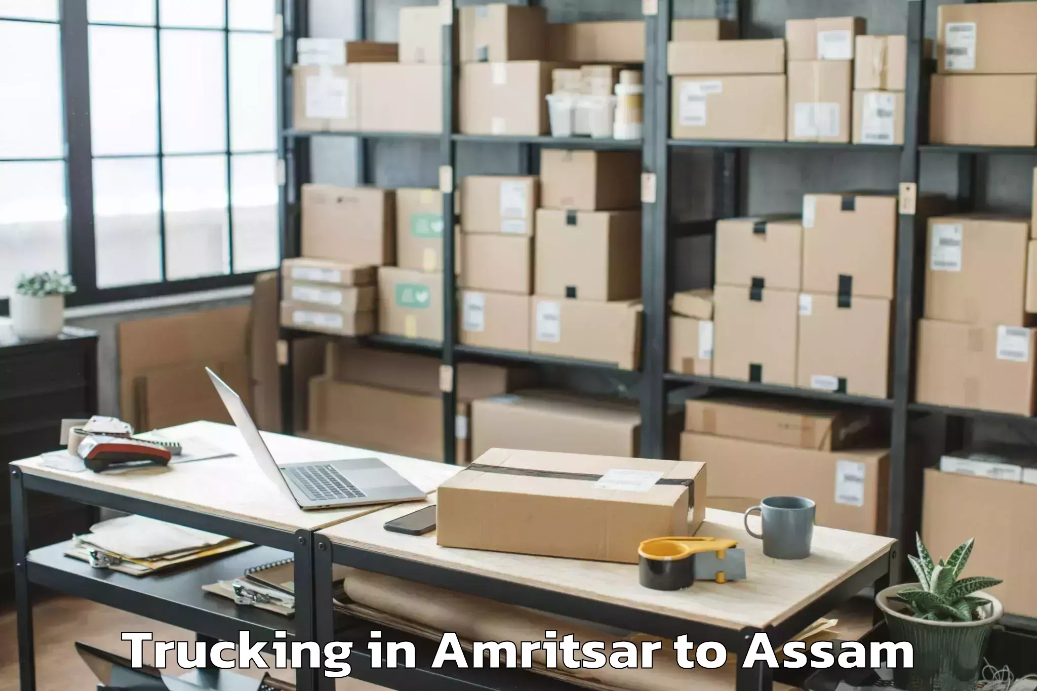 Book Amritsar to Dhubri Pt Trucking Online